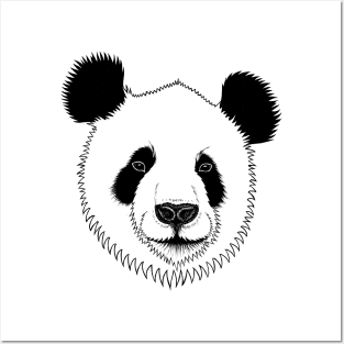 Giant panda bear Posters and Art